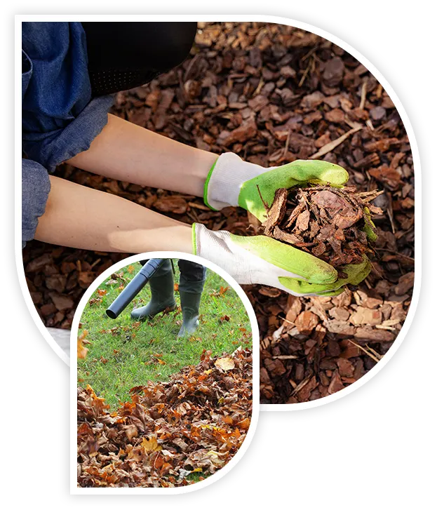 gardener mulching flower bed with pine tree bark mulch