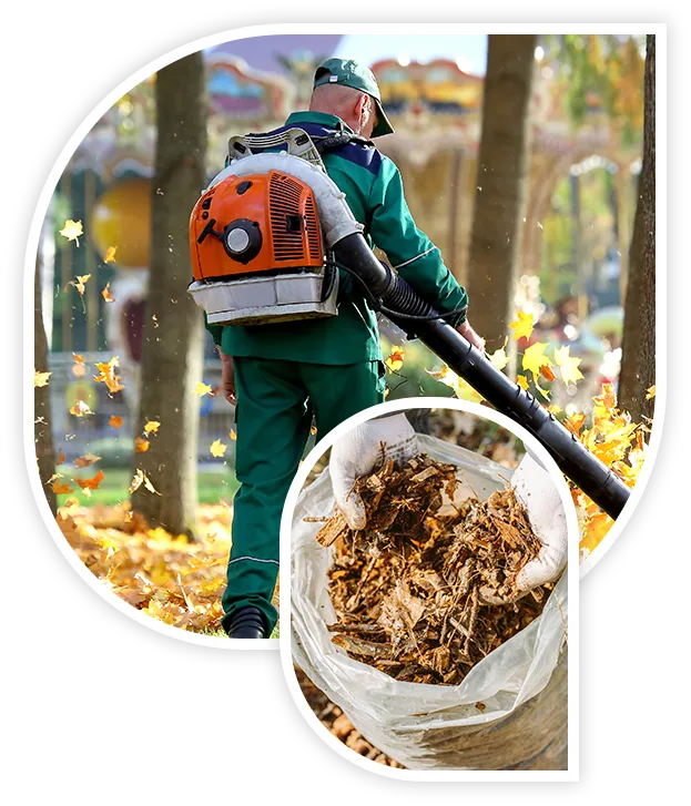 Cleaning up leaves using leaf blower