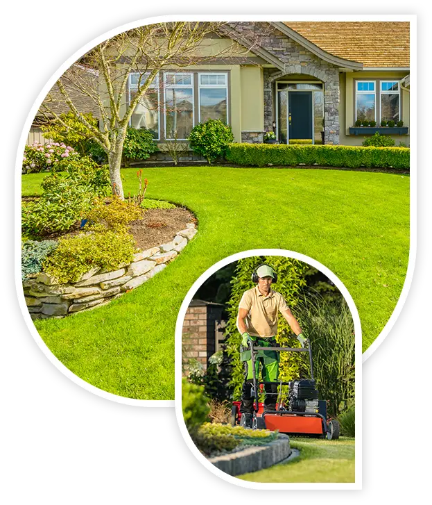 Lawn care